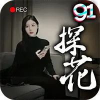 91极品探花